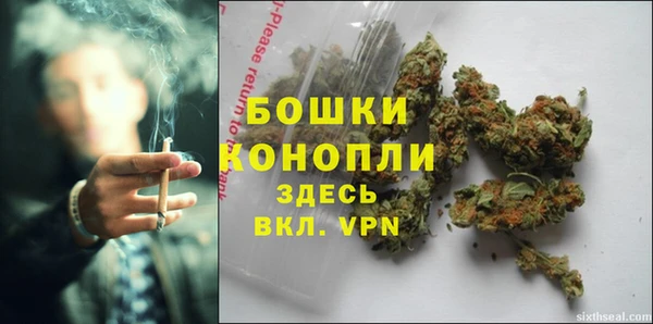 стаф Липки