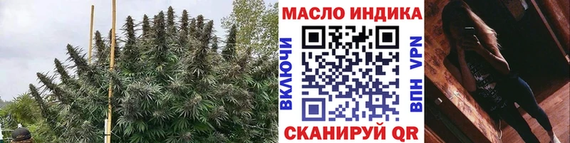 купить Торопец ТГК концентрат