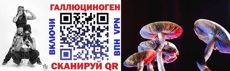 Псилоцибиновые грибы MAGIC MUSHROOMS  Торопец 